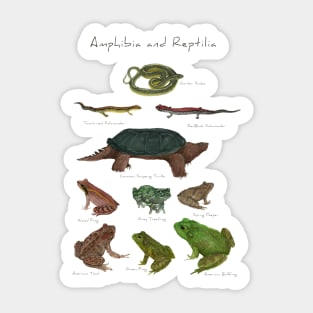 Amphibians and Reptiles Sticker